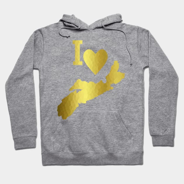 GOLD Nova Scotia Hoodie by SartorisArt1